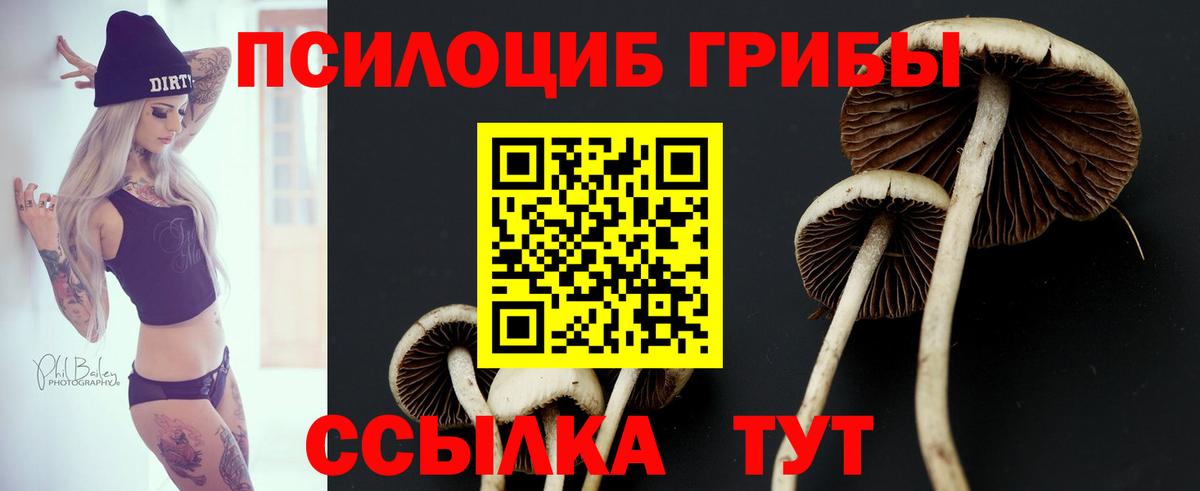 Галлюциногенные грибы ЛСД Вязники