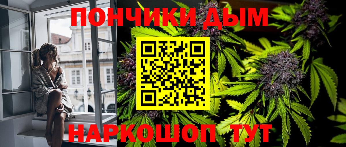 Шишки марихуана конопля Вязники